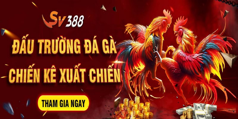 Làm đại lý SV388 phải tuân thủ theo quy định chung của nhà cái